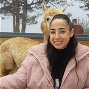 Profesora de educación secundaria titulada se ofrece para dar clases particulares de matemáticas